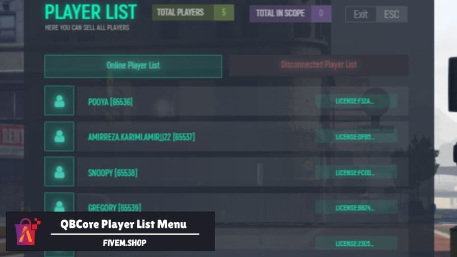 FiveM Player List
