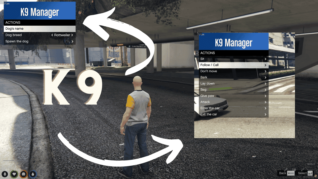 Esx K9