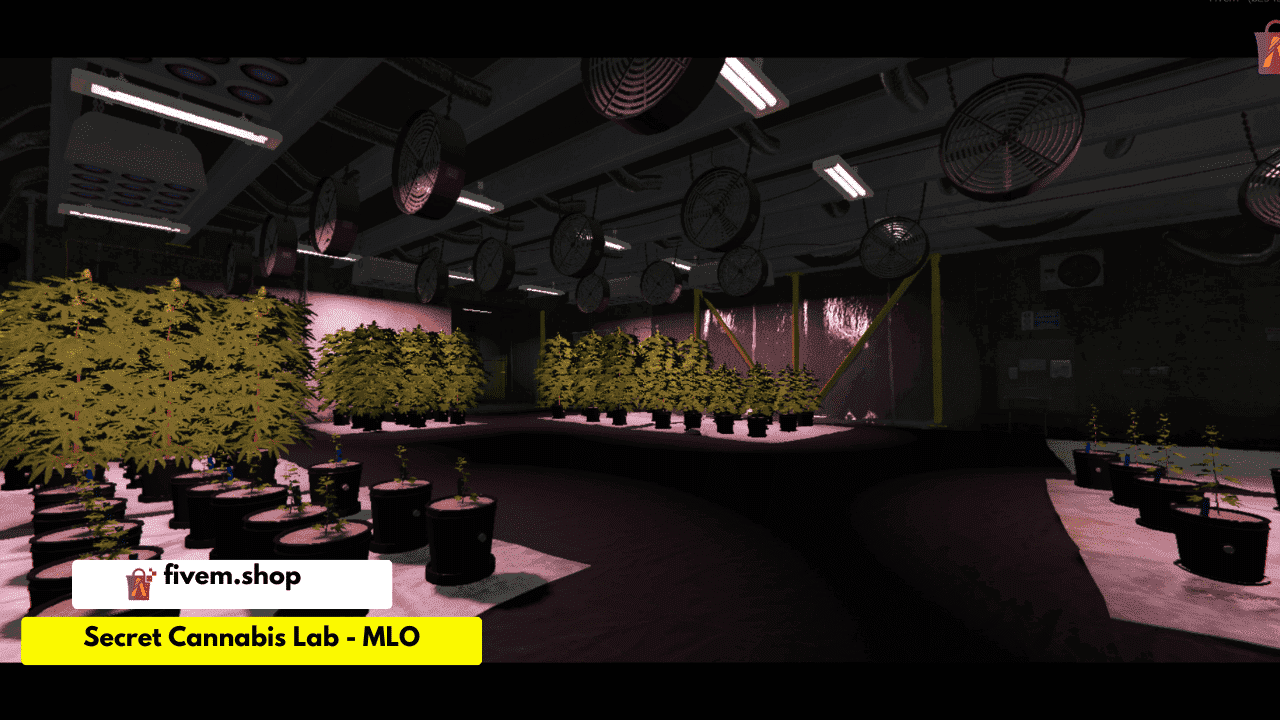 Secret Cannabis Lab FiveM MLO