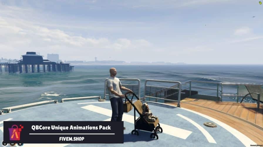 FiveM Animation Script