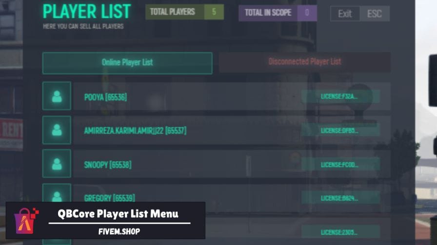 FiveM Player List