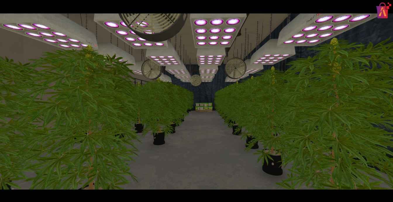 Weed Farm FiveM