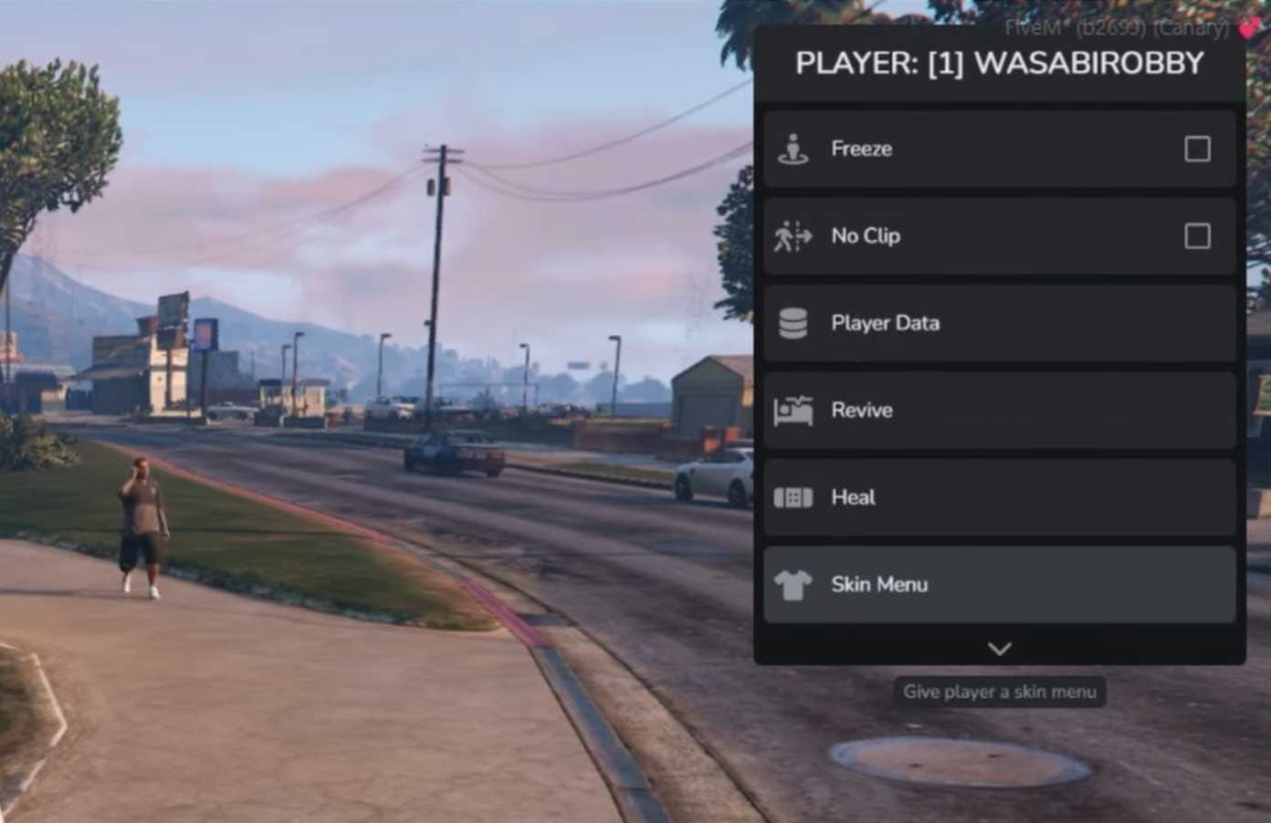 Admin Menu Script FiveM