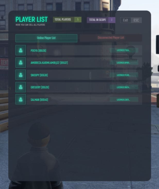 FiveM Player Menu