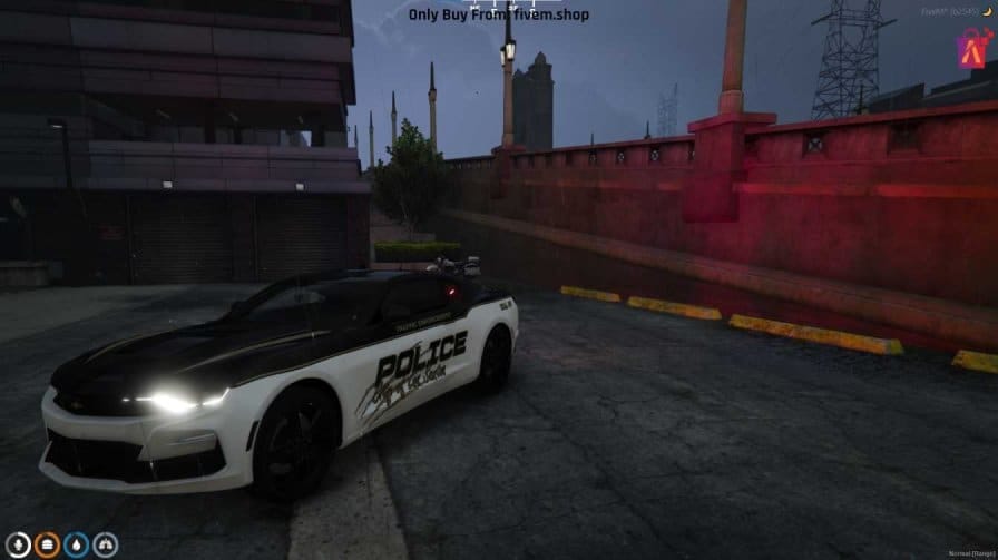 FiveM Police