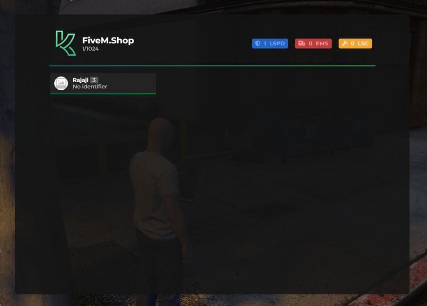 FiveM Menu Script