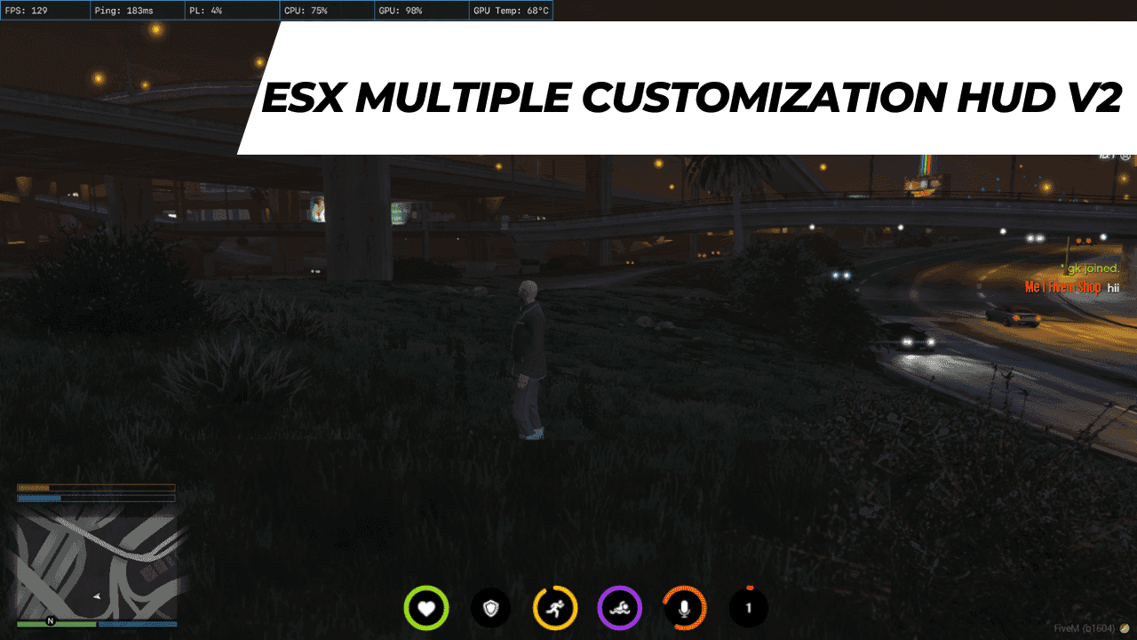EsX multiple customization Hud V2